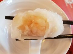 晶莹鲜虾饺-点点心点心专门店(旺角店)