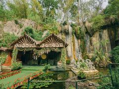 -西双版纳原始森林公园