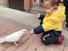 -王府井奥莱临潼小镇(临潼店)