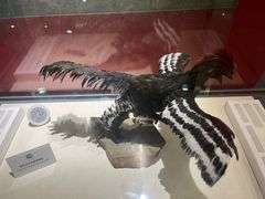 -国家自然博物馆