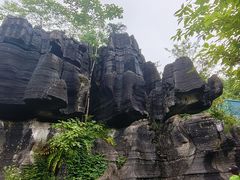 -梭布垭石林景区