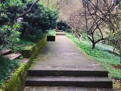 -南山植物园