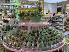 -KKV(深圳宏发大仟里店)