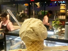 -野人先生现做冰淇淋(西安赛格店)