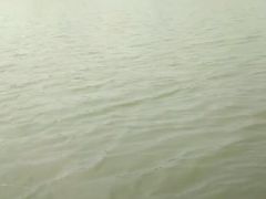 -长兴太湖图影湿地文化园