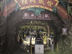 -独树成林