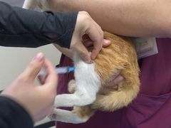 -美联众合动物医院·24h京西诊疗中心