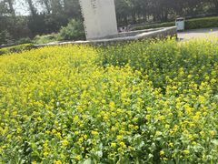 -北坞公园