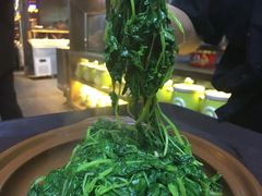 -徽三说·土徽菜·中国徽菜连锁品牌(一中店)