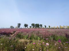 -汉长安城未央宫国家考古遗址公园