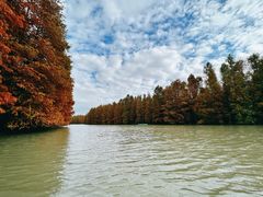 -上海海湾国家森林公园