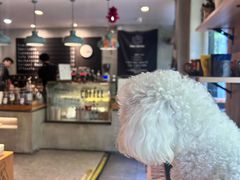 -ZM COFFEE(西安路店)