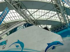 -青岛东方影都融创水世界