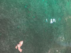 -宝丽金大酒店·洗浴中心