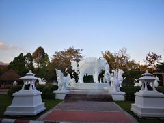 -清迈夜间动物园