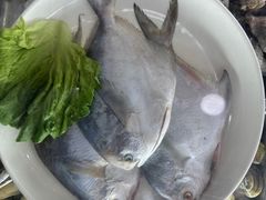 -吕四渔港码头海鲜餐厅