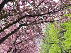 -城市运动公园(未央区)