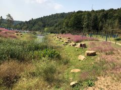 -南京市无想山景区