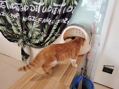 -平行世界·猫咖(首经贸店)