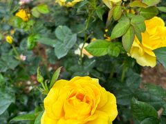 -人民公园(罗湖区)