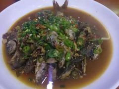 -全乐鱼馆·淳牌有机鱼直营店