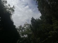 -蓬莱阁景区