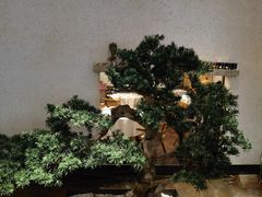 -十二粤味·顺德菜·烧鹅点心(五四广场店)