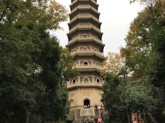 -灵谷景区