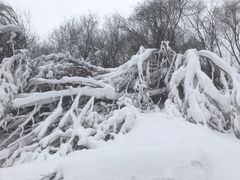 -鳌山滑雪度假区