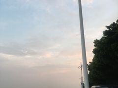 -大湾区中央湿地公园-十九涌
