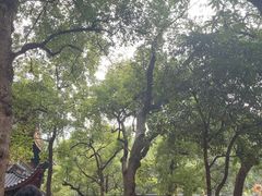 -灵隐飞来峰景区