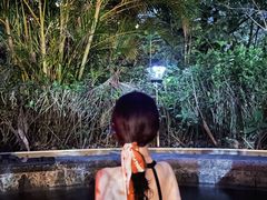 -凤翔首邑温泉度假村