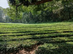 -敬亭山风景名胜区