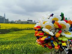 -三圣花乡旅游区