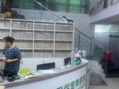 -爱侣宠医·鹦鹉专科·小型哺乳类·异宠专科(灵石路店)