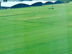 -兴芮温泉度假区