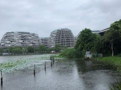 -海天湖公园