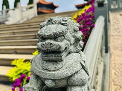 -广东圆玄道观