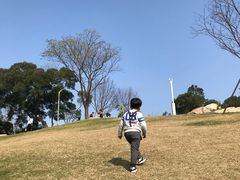 -飞凤山奥体公园
