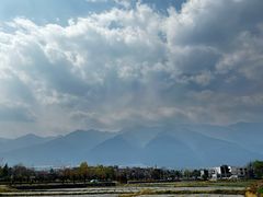 -洱海月湿地公园