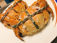 -张江海科雅乐轩聚聚乐