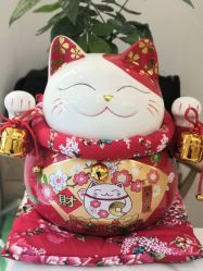 -寇氏拔罐减肥
