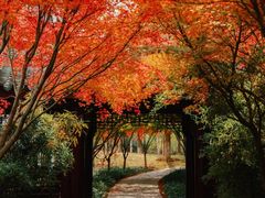 -香山公园