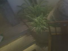 -悦慕·花满溪(新城吾悦店)