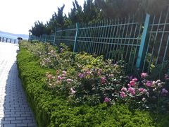 -青岛海滨风景区