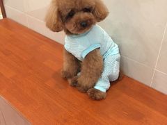 -艾贝尔宠物医院·24H转诊中心·肿瘤猫专科(江宁双龙店)