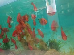 -星仕力游泳健身(滨江店)
