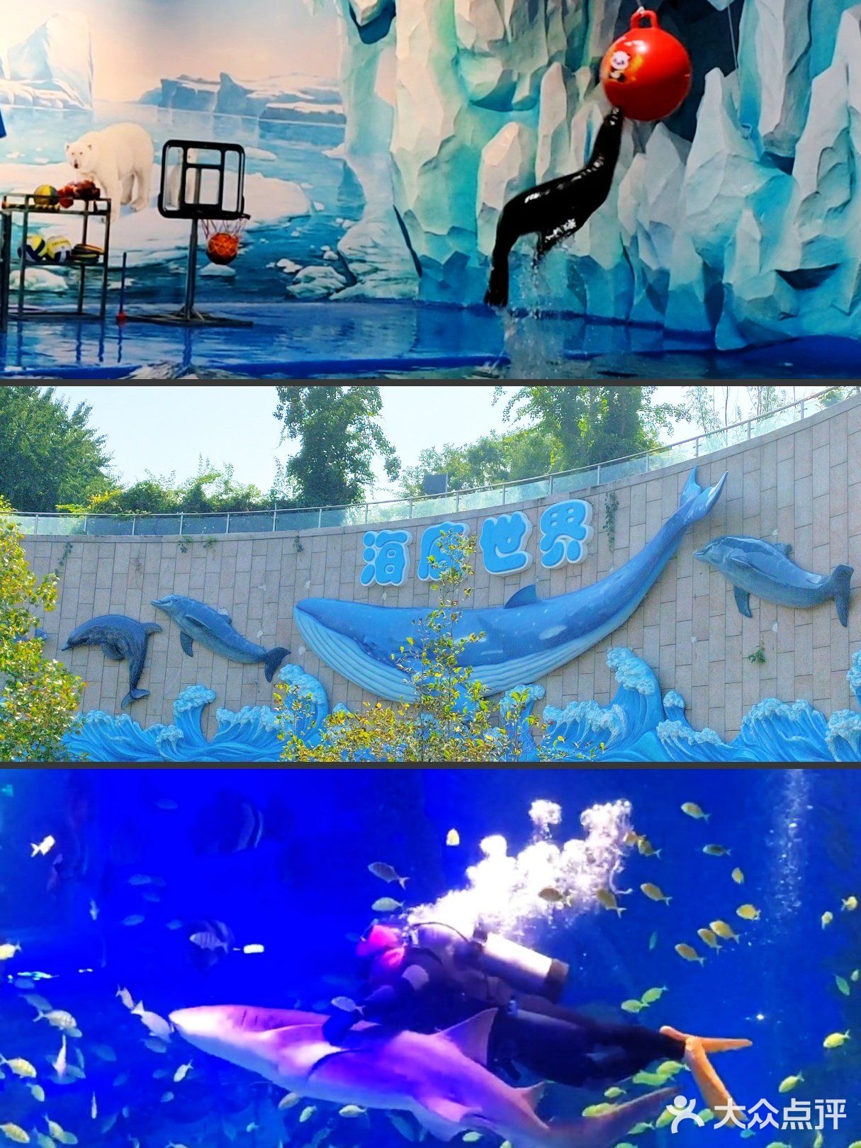天津|文化中心海底世界，蓝色大海的传说🐠