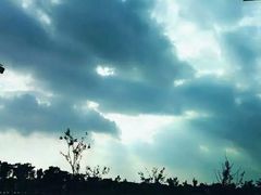 -明珠湖天鹅苑·农家菜馆