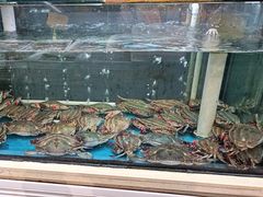 -金沙滩海鲜餐厅·海肠捞饭·手工水饺(梅江龙水园店)